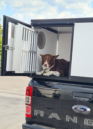 Thermobox für Hunde