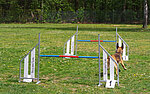 Agility
