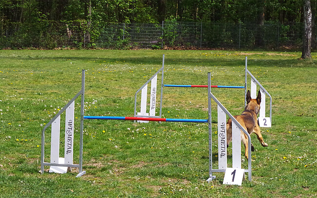 Agility