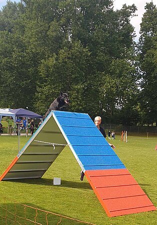 Agility