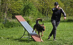Agility