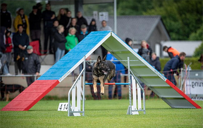 Agility