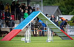 Agility
