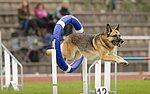 Agility